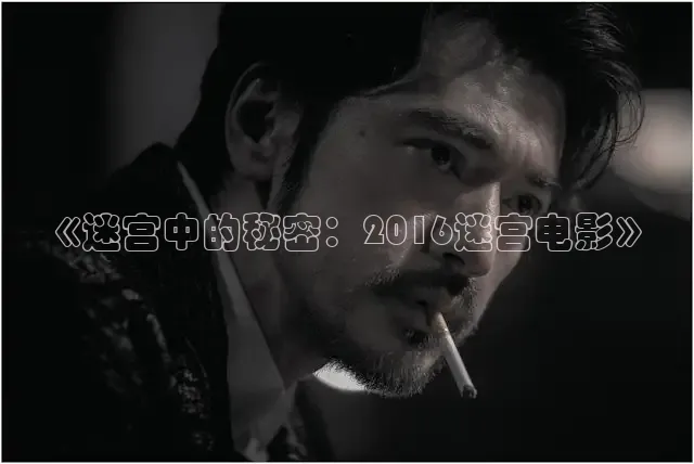 《迷宫中的秘密：2016迷宫电影》